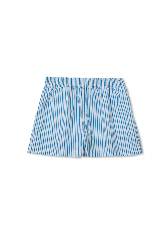 pacific_blue_stripe