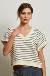 briggs stripe