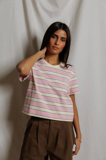sugar_pink_mocha_stripe
