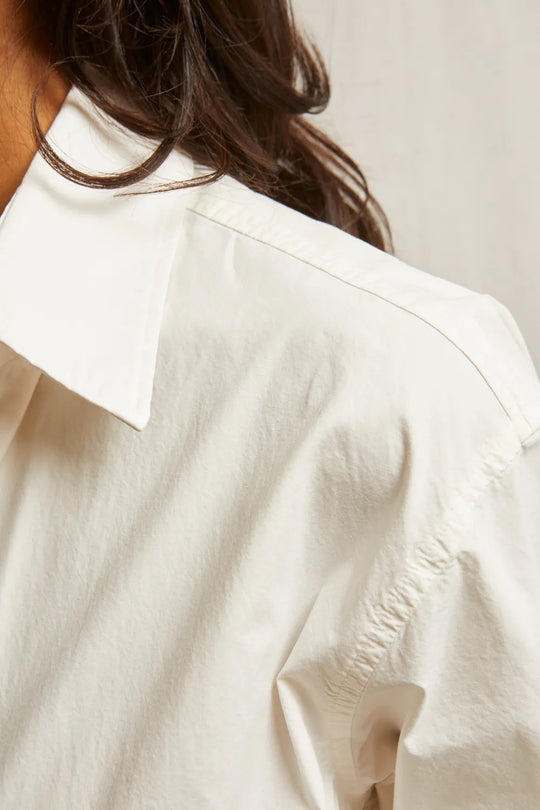 bright_ivory
