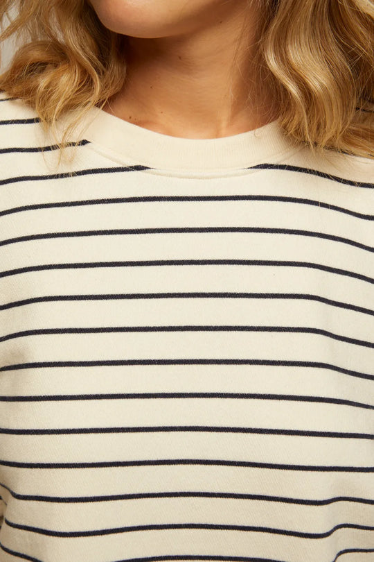 navy_stripe