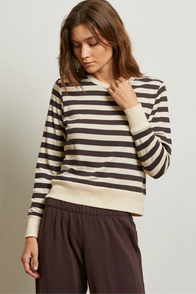 stef stripe